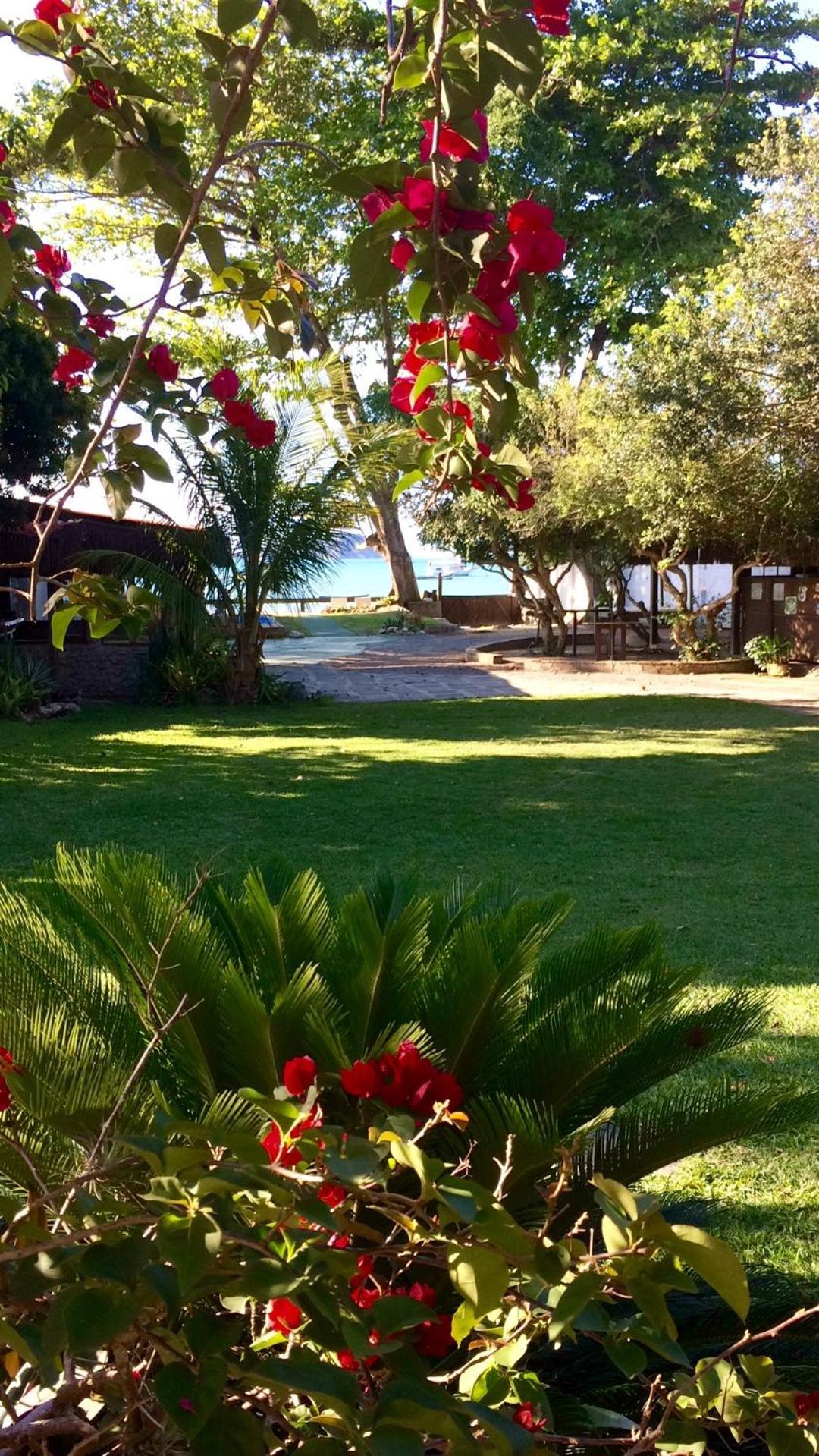 Bed and Breakfast Yucas Buzios Sul Exterior foto